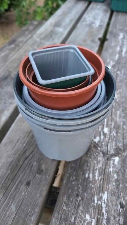 Photo of free Plant pots (Calcot RG31) #1