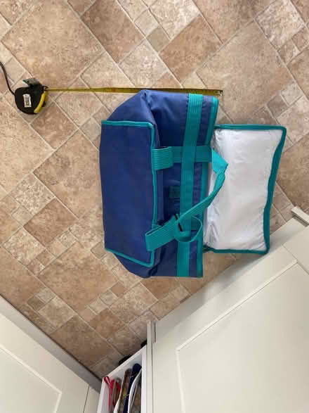 Photo of free Cool bag (Lindfield RH16) #1