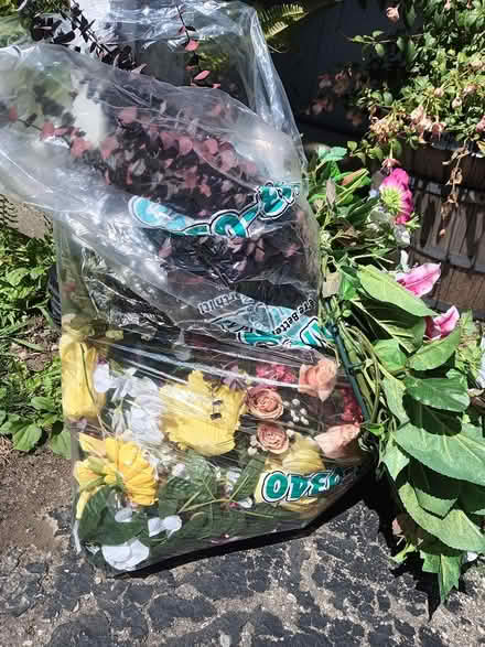 Photo of free Assorted fake flowers (Waterford) #1