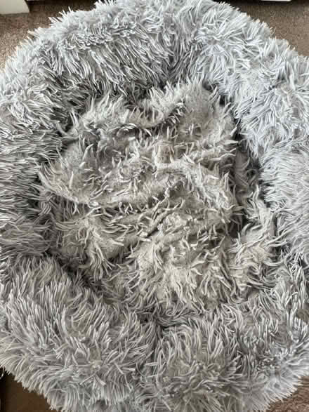Photo of free Fluffy dog bed (Bexley DA5) #2
