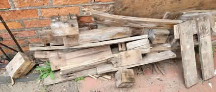 Photo of free Firewood (Temple Street OX4) #1