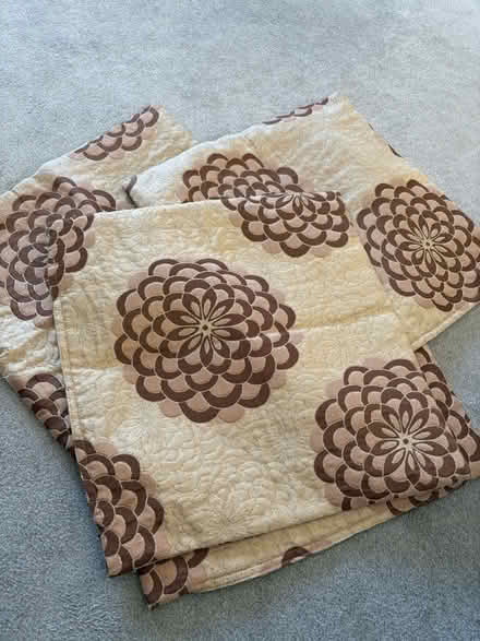 Photo of free Cushion Covers. (Findern DE65) #1