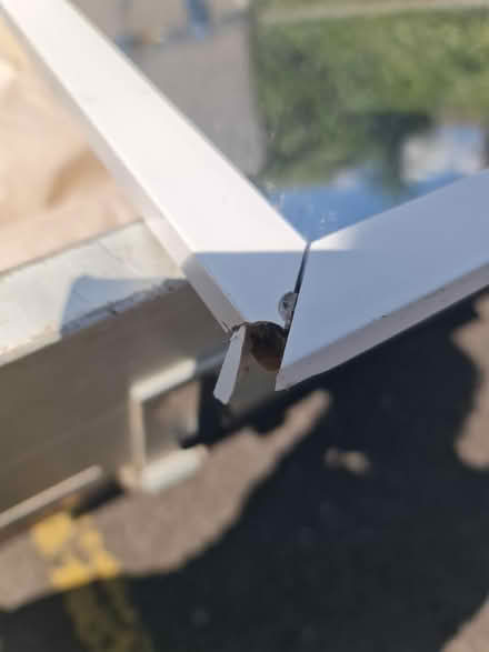 Photo of free Mirror, Tall, White Frame, (CT2) #2