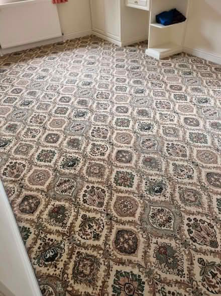 Photo of free Bedroom carpet (Lakeside LA12) #2