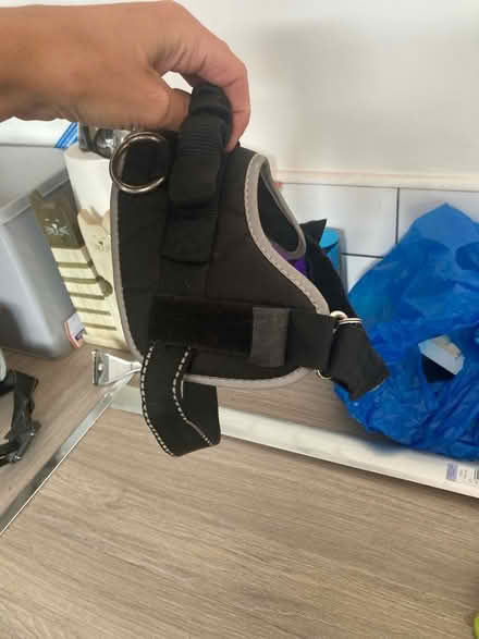 Photo of free B&M Dog Harness (Beaconside ST16) #2