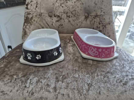 Photo of free 2 cat dishes (HD6 brighouse) #1