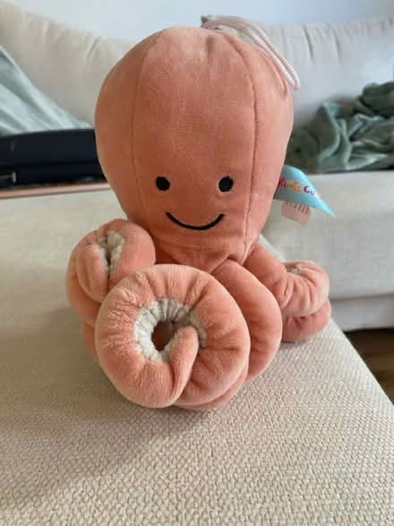 Photo of free Assorted soft toys (Carrington NG5) #4
