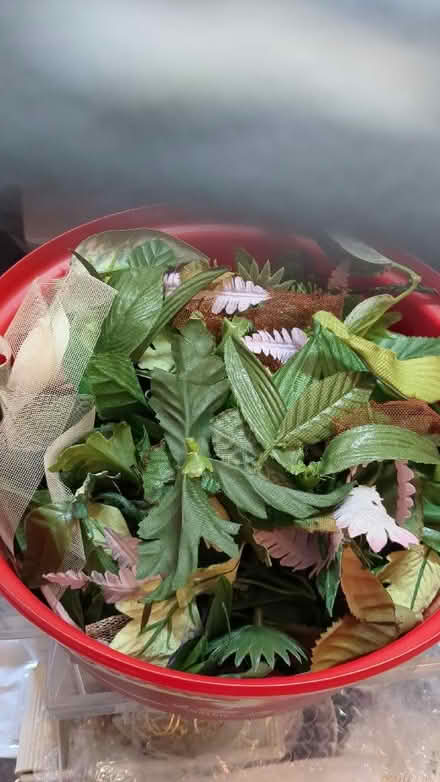 Photo of free A tub of leaves, (Braithwaite BD22) #1