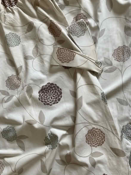 Photo of free Curtains. (Findern DE65) #2