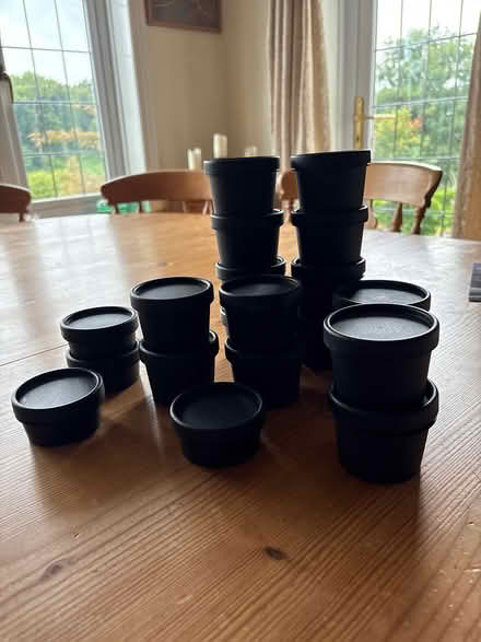 Photo of free Lush pots (Chelston,Torquay TQ2) #1
