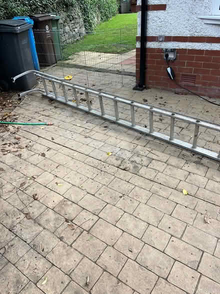Photo of free Cat Ladder (Manchester M405SH) #1