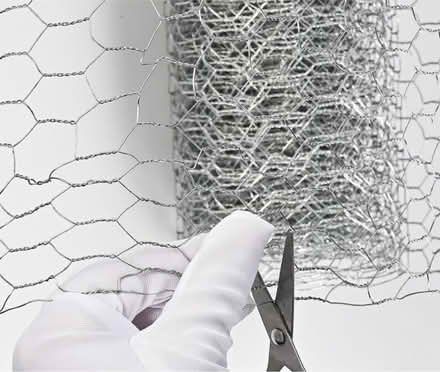 Photo of Chicken wire (Harlesden NW10) #1