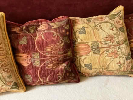 Photo of free Cushions (SO16 Southampton) #2