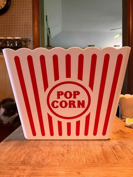 Photo of free Plastic Popcorn Tub (Near Gary Ave & Schick Rd) #1