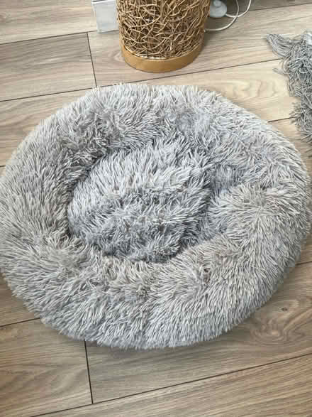 Photo of free Small fluffy dog bed (Bexley DA5) #1