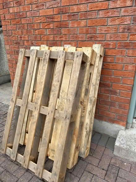Photo of free 3 pallets (Kilkenny city) #1