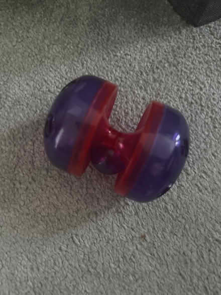 Photo of free Cat treat toy (Far Cotton, Northampton) #1