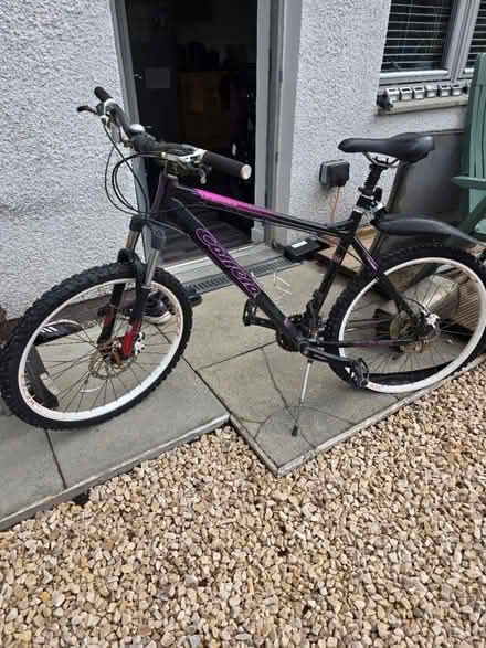 Photo of free Bike (West Lothian EH53) #1