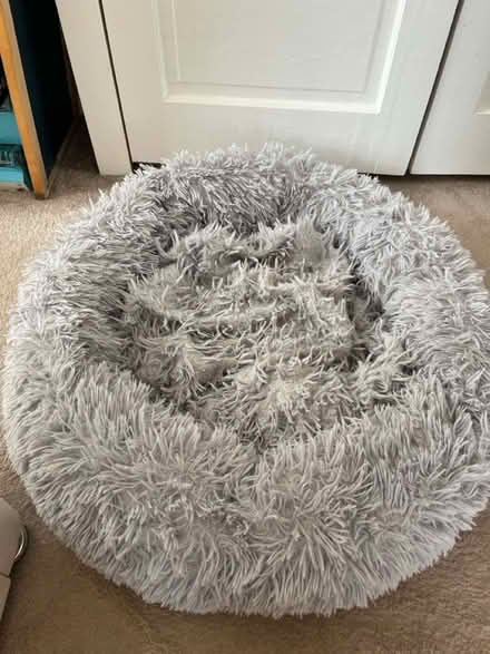 Photo of free Fluffy dog bed (Bexley DA5) #1