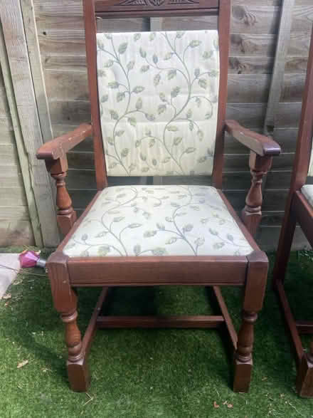 Photo of free 5 Dining chairs (Maidenhead SL6 3) #2