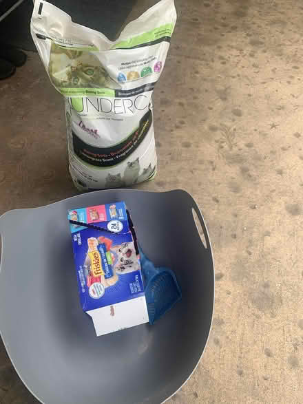 Photo of free cat stuff (South West Coquitlam) #1
