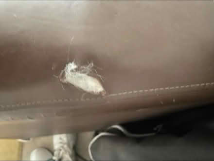 Photo of free De La Espada long leather sofa (BA2) #3