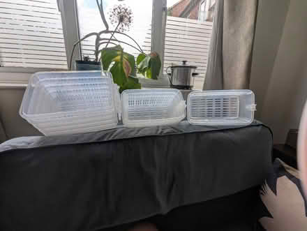 Photo of free Plastic basket containers (CM12) #4