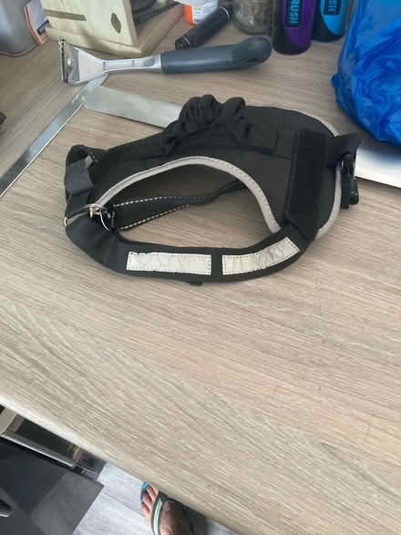Photo of free B&M Dog Harness (Beaconside ST16) #3