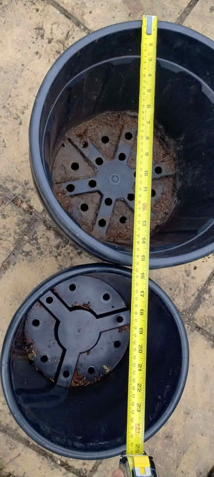 Photo of free 4 Large Plant Pots. (Berrow TA8) #3