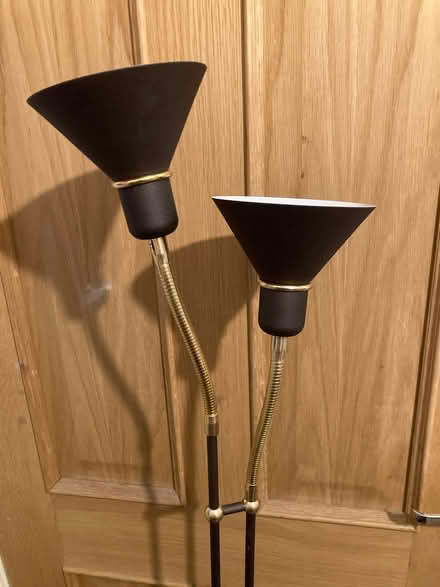 Photo of free Floor standing lamp (Blackford EH9) #2