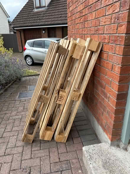 Photo of free 3 pallets (Kilkenny city) #2