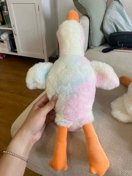 Photo of free Assorted soft toys (Carrington NG5) #3