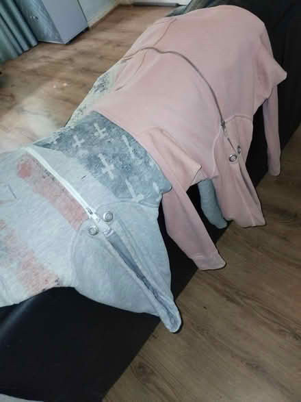 Photo of free 2 hoodies suze 8 ladies (Bloxwich.walsall WS3) #1