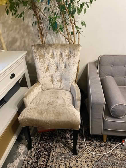 Photo of free 2x Chairs (bow E3) #1