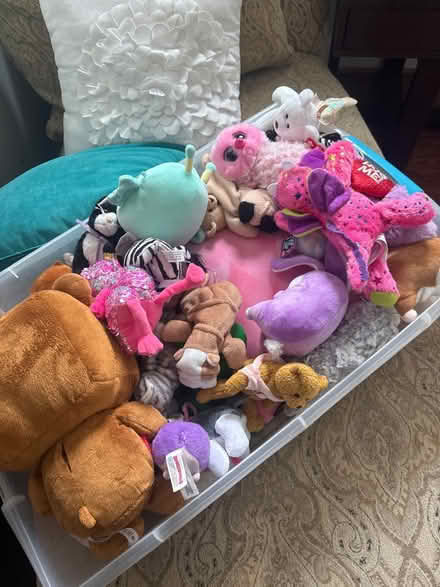 Photo of free Tons of stuffies (Wildwood Bethesda, md) #1