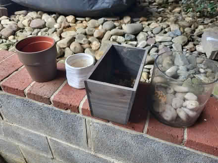 Photo of free Flowerpots (Hill East) #1