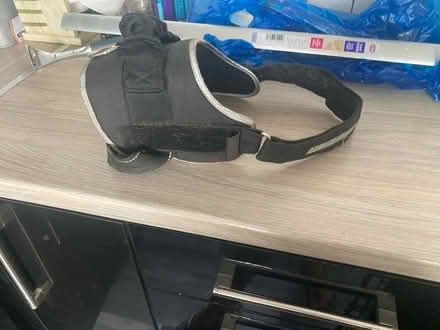 Photo of free B&M Dog Harness (Beaconside ST16) #1