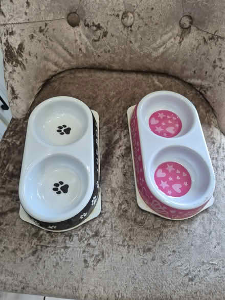 Photo of free 2 cat dishes (HD6 brighouse) #2