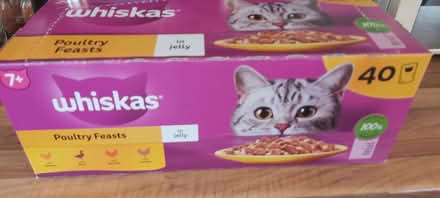 Photo of free Cat food (Mytchett GU16) #1