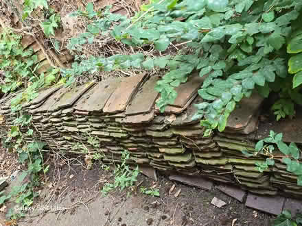 Photo of free Roof tiles (Brierley Hill DY5) #1