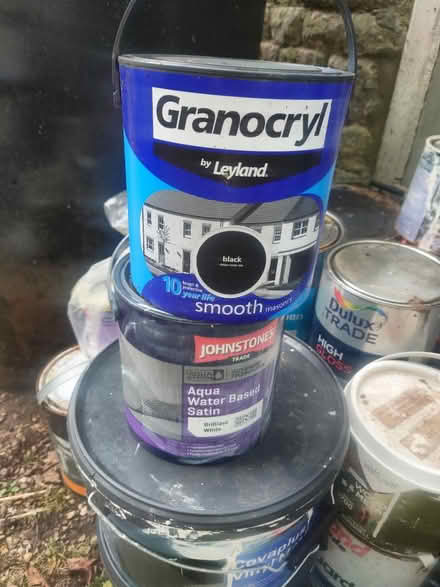 Photo of free paint (East peckham TN12) #3