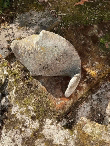 Photo of free Concrete fish in need of a new home (Linslade LU7) #1