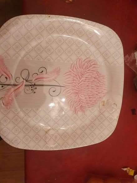 Photo of free four plastic plates (Selhurst) #3