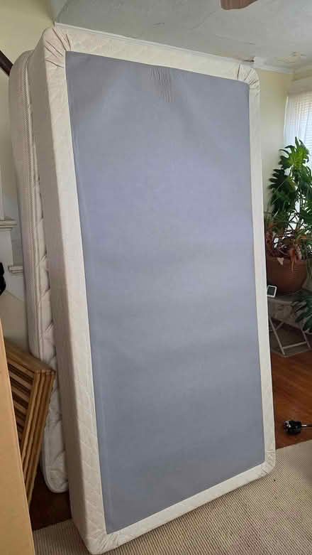 Photo of free Twin Boxspring (South End) #1