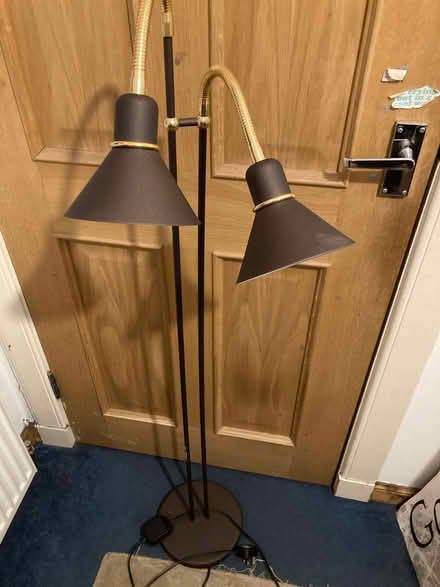 Photo of free Floor standing lamp (Blackford EH9) #3