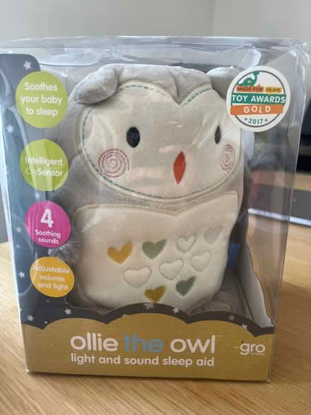 Photo of free Ollie the owl (NW3) #1