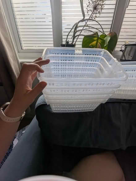 Photo of free Plastic basket containers (CM12) #3