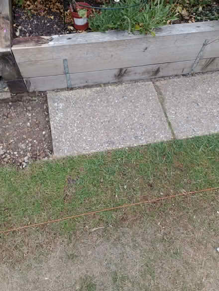 Photo of free 12 paving slabs (Lower Earley RG6) #1