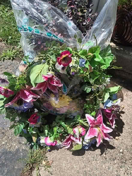Photo of free Assorted fake flowers (Waterford) #2