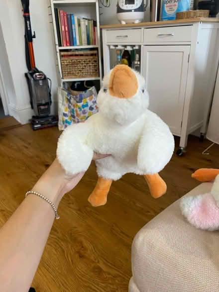 Photo of free Assorted soft toys (Carrington NG5) #2